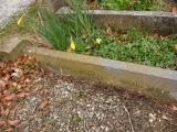 image of grave number 140979